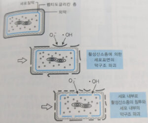 광촉매 항균, 항바이러스